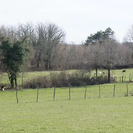 아파트 Guki Reihenhaeuser 말린스카