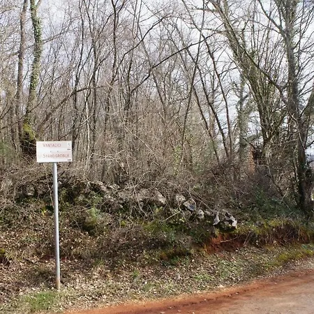 Guki Reihenhaeuser *